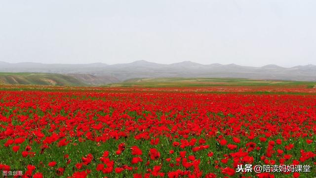 一年级上册语文多音字组词造句大全，助力孩子生字识别