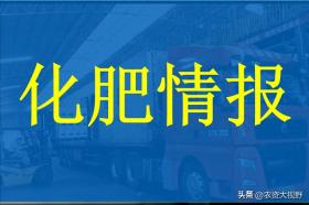 2024年12月9日化肥市场最新行情速递